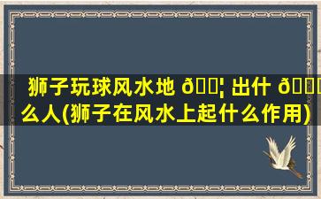 狮子玩球风水地 🐦 出什 🐝 么人(狮子在风水上起什么作用)